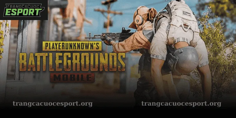 Giới thiệu cá cược PUBG
