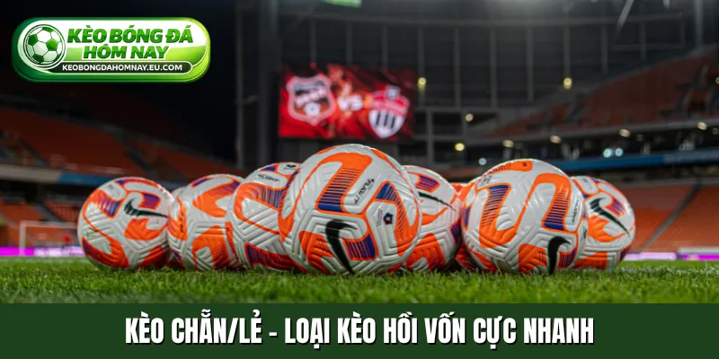 Kèo chẵn-lẻ