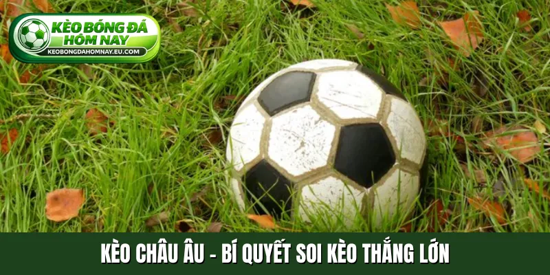 Kèo châu Âu