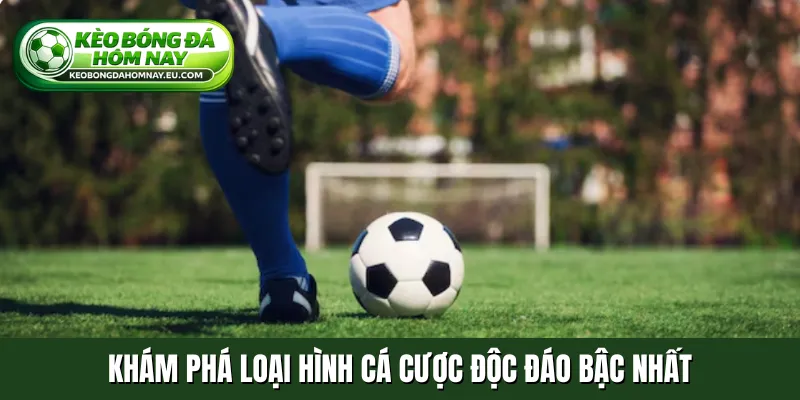 Khám phá loại hình cá cược độc đáo bậc nhất