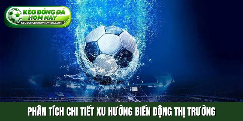 Phân tích chi tiết xu hướng biến động thị trường