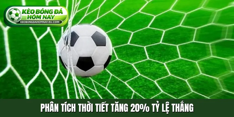 Phân tích thời tiết tăng 20% tỷ lệ thắng