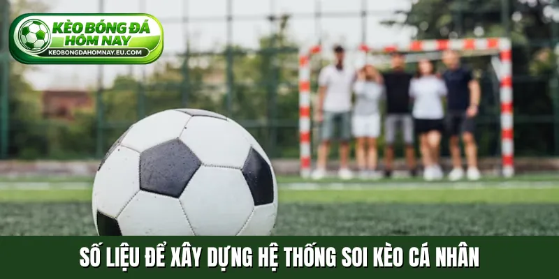 Số liệu để xây dựng hệ thống soi kèo cá nhân