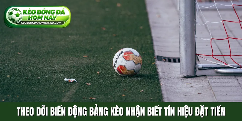 Theo dõi biến động bảng kèo nhận biết tín hiệu đặt tiền