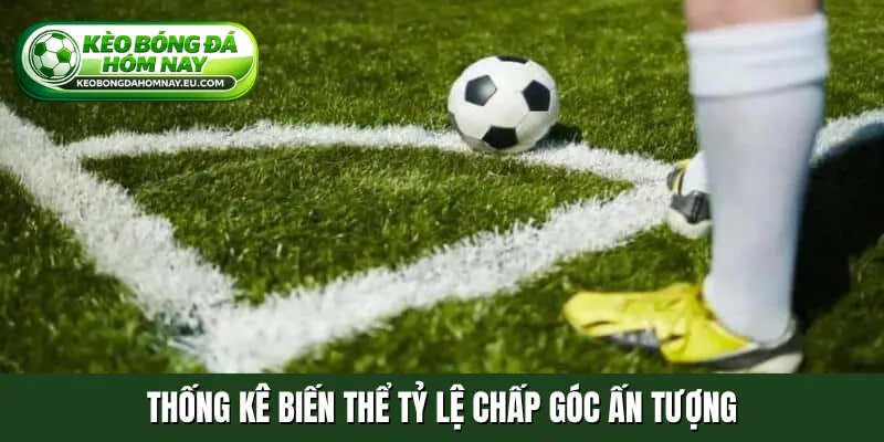 Thống kê biến thể tỷ lệ chấp góc ấn tượng
